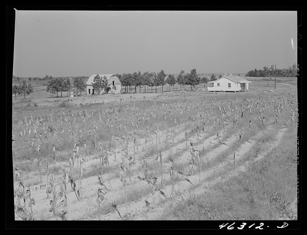 Meadow Crest community, Georgia (vicinity). One of the new houses being built by Greene County Farms Inc. to replace some of…