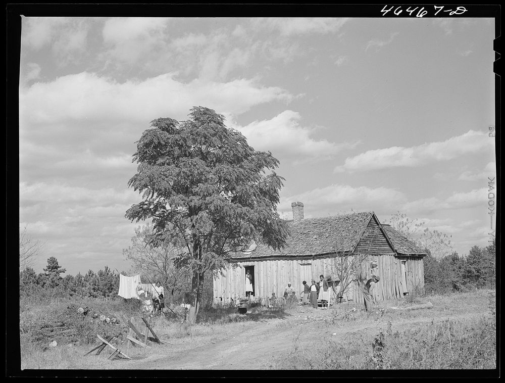 [Untitled photo, possibly related to: House on the road near Woodville, Greene County, Georgia]. Sourced from the Library of…