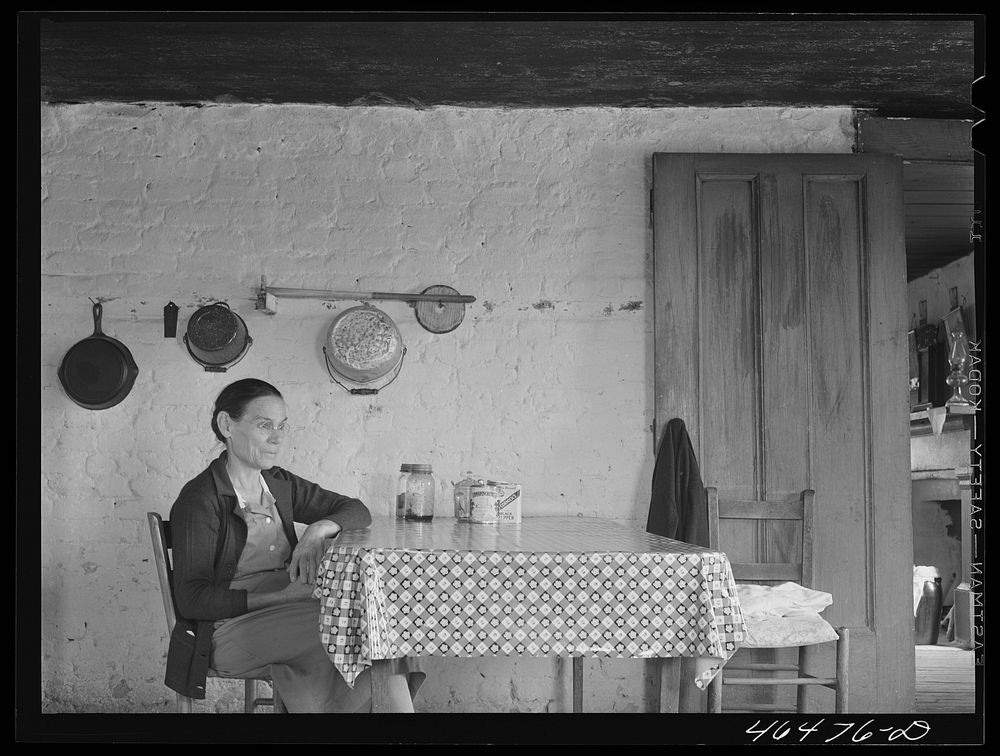 Mr. Lloyd Clements, FSA (Farm Security Administration) borrower living on the Jackson place, near Mosquito Crossing, Greene…