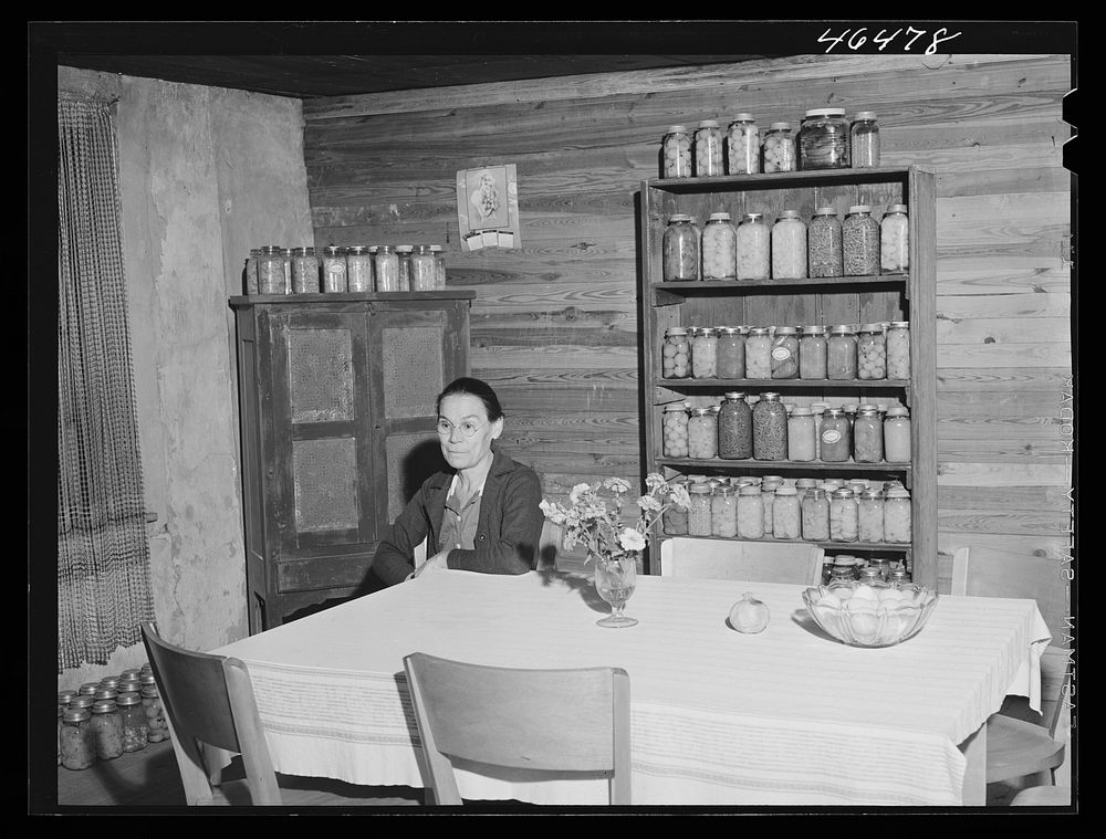 [Untitled photo, possibly related to: Mrs. Lloyd Clements, FSA (Farm Security Administration) borrower living on the Jackson…