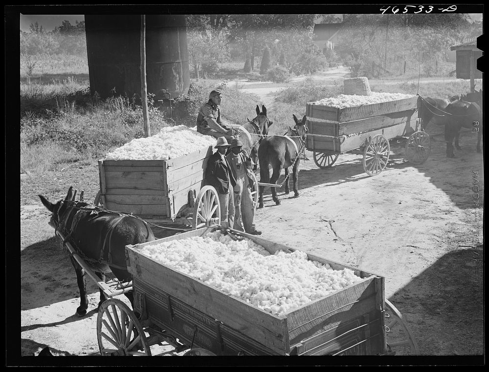 cotton gin Siloam ginning day, Free Photo rawpixel