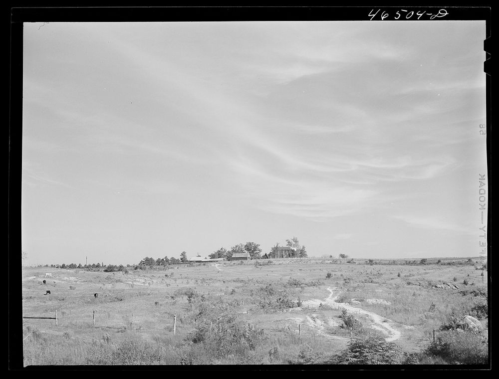 The old Jackson plantation, near Mosquito crossing, Greene County, Georgia. Sourced from the Library of Congress.