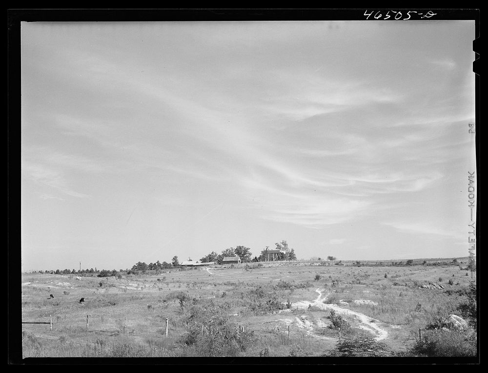 [Untitled photo, possibly related to: The old Jackson plantation, near Mosquito crossing, Greene County, Georgia]. Sourced…