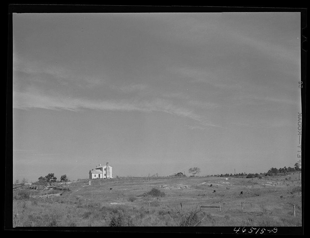 A house on the Jackson farm, near Mosquito Crossing, Greene County, Georgia. Sourced from the Library of Congress.