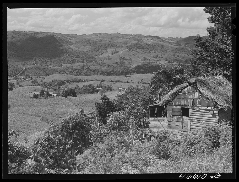 Manati, Puerto Rico (vicinity). Farm laborer's home in a valley of small sugar farms. Sourced from the Library of Congress.