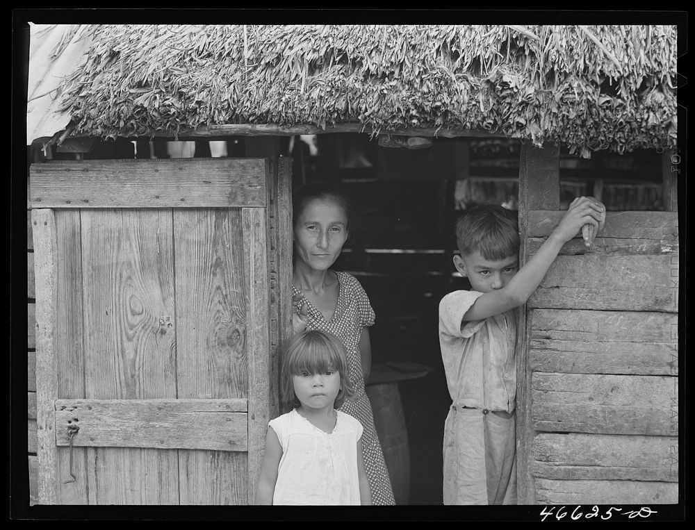 Manati, Puerto Rico (vicinity). Wife and two of the children of a FSA (Farm Security Administration) borrower. Sourced from…