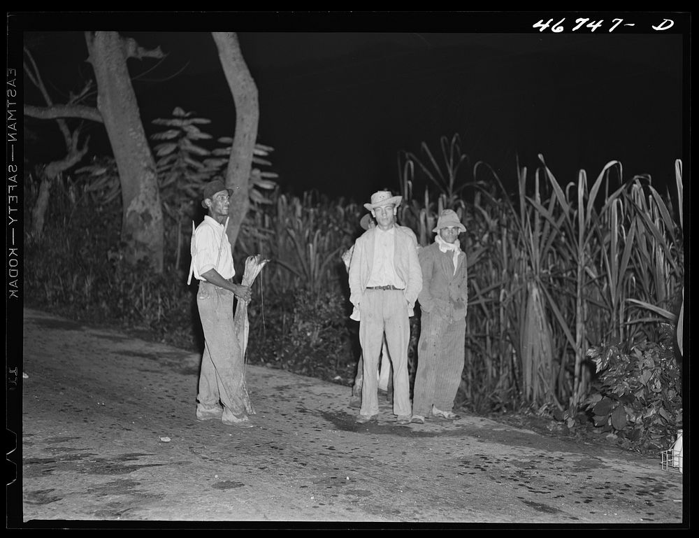 Bayamon, Puerto Rico (vicinity). Men waiting at 5:30 in the morning to be taken to work at the Naval base. Most…