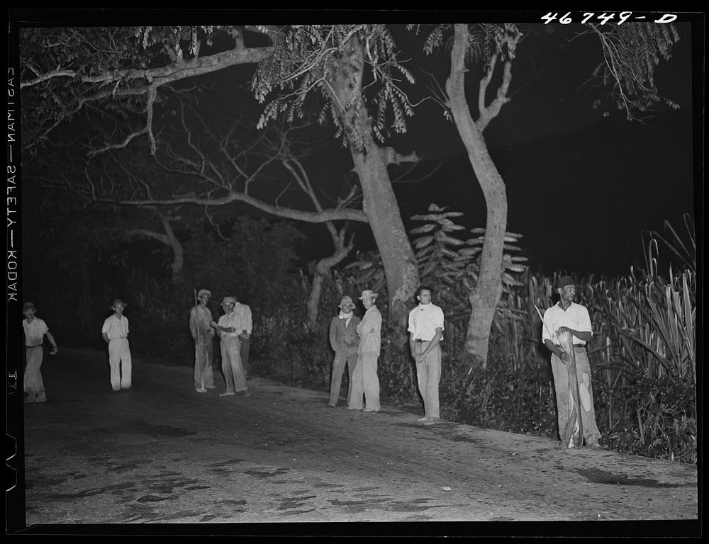 Bayamon, Puerto Rico (vicinity). Men waiting at six o'clock in the morning between Bayamon and Caguas for truck to take them…