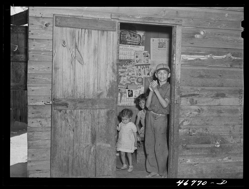 [Untitled photo, possibly related to: Ponce, Puerto Rico. Family living in the slum area]. Sourced from the Library of…