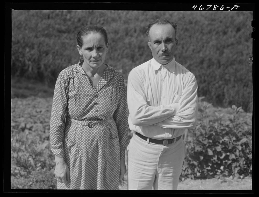 [Untitled photo, possibly related to: Corozal, Puerto Rico (vicinity). Mr. and Mrs. Ecequiel Irene, FSA (Farm Security…