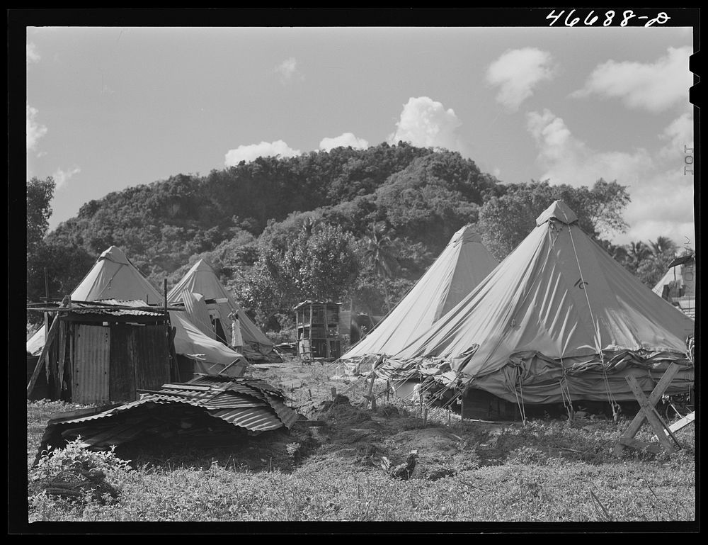 [Untitled photo, possibly related to: Bayamon, Puerto Rico (vicinity). Tent colony of twenty-five families who had been…
