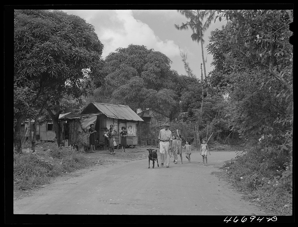 Bayamon, Puerto Rico (vicinity). Along a country road. Sourced from the Library of Congress.