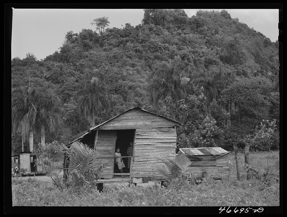 Bayamon, Puerto Rico (vicinity). Farm Free Photo rawpixel