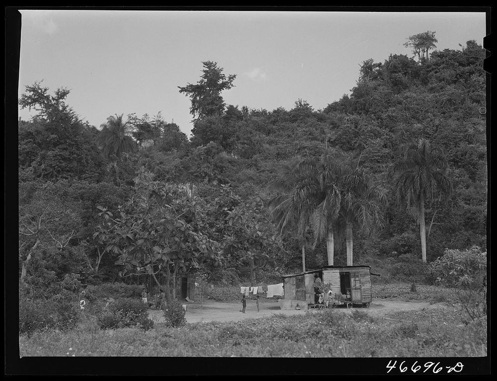 Farm laborer's home near Bayamon, Puerto Rico. Sourced from the Library of Congress.