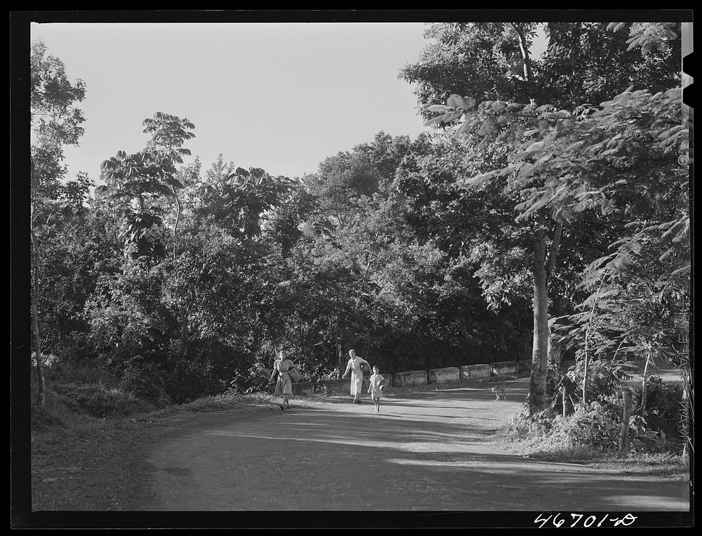 Corozal, Puerto Rico (vicinity). Going along a country road to the spring to get water. Sourced from the Library of Congress.