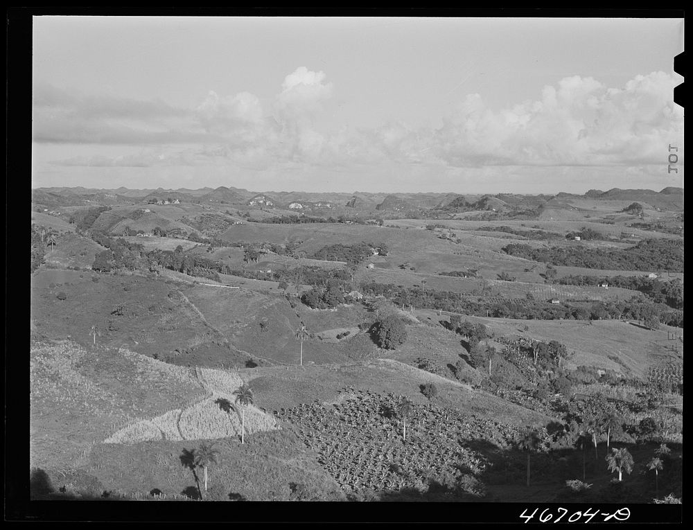 Corozal, Puerto Rico (vicinity). Small farms in the hills. Sourced from the Library of Congress.
