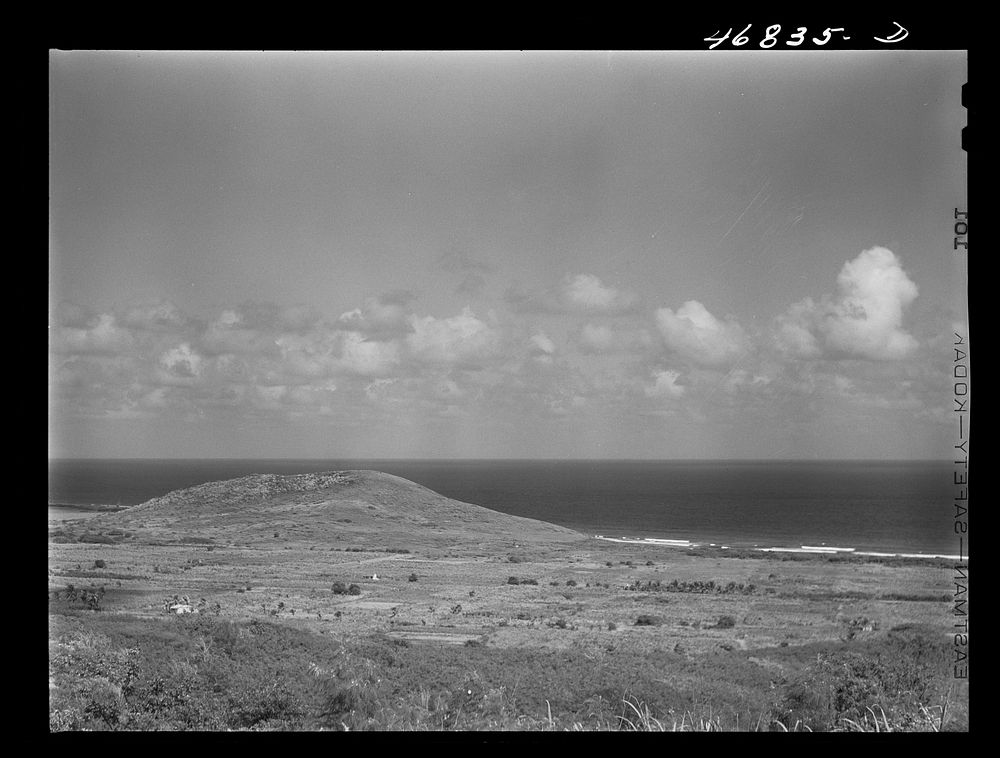 Saint Croix Island, Virgin Islands. Sugar farms along the northern coast. Sourced from the Library of Congress.