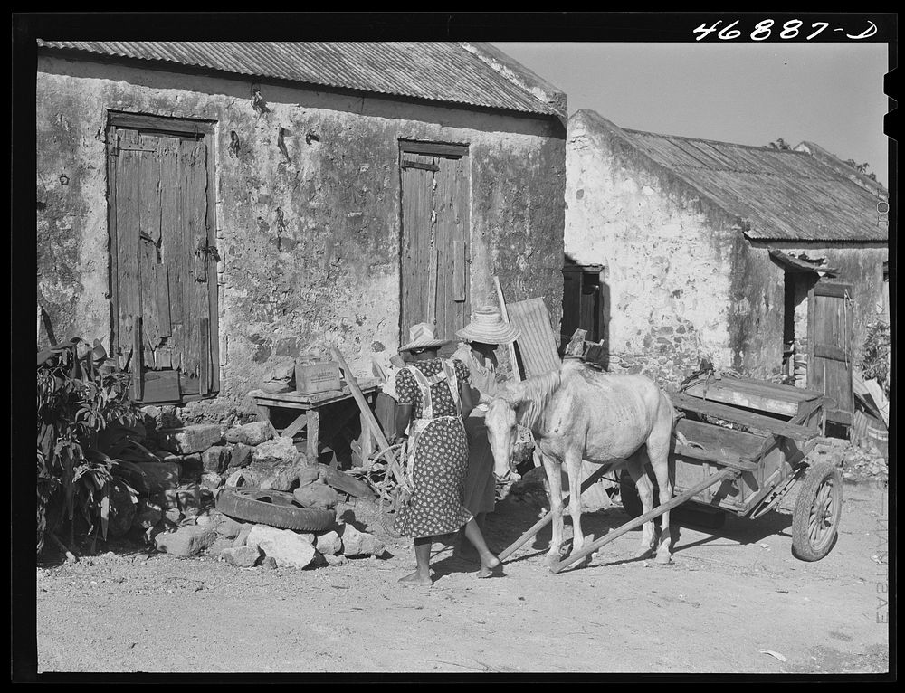 Saint Croix Island, Virgin Islands. Street scene in village of La Vallee. Sourced from the Library of Congress.
