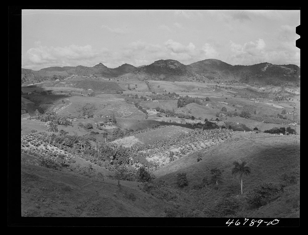 Corozal, Puerto Rico (vicinity). Small farms in the hills. Sourced from the Library of Congress.