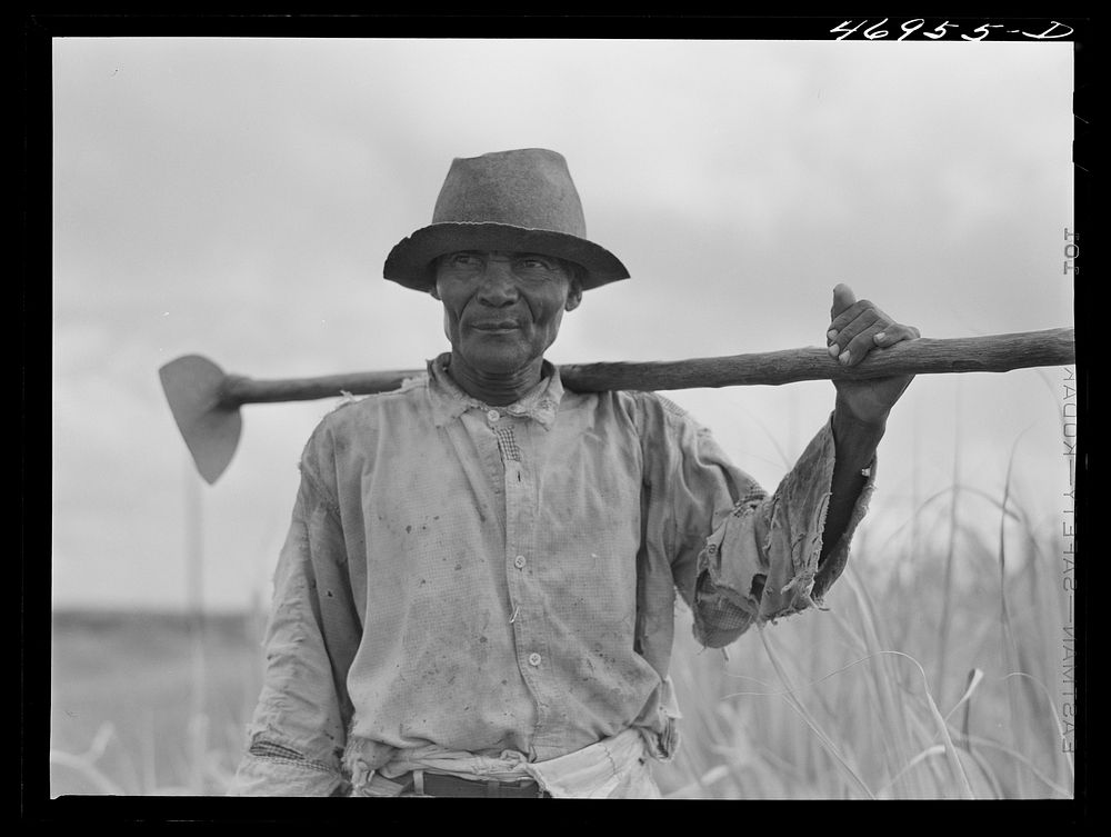 Frederiksted (vicinity), Saint Croix Island, Virgin Islands. FSA (Farm Security Administration) borrower who lives in one of…