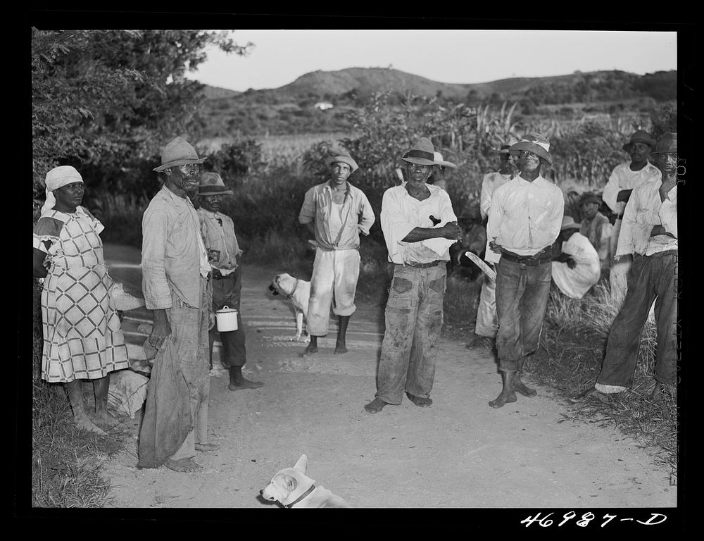 [Untitled photo, possibly related to: La Vallee, Saint Croix Island, Virgin Islands. At a FSA (Farm Security Administration)…