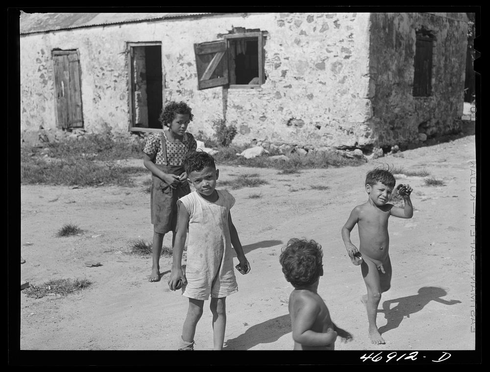 [Untitled photo, possibly related to: Frederkiksted (vicinity), Saint Croix Island, Virgin Islands. One of the slum…