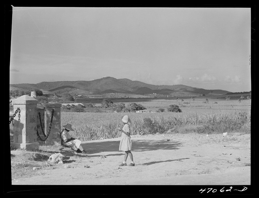 Bethlehem, Saint Croix Island, Virgin Islands (vicinity). Along the Center Line road. Sourced from the Library of Congress.