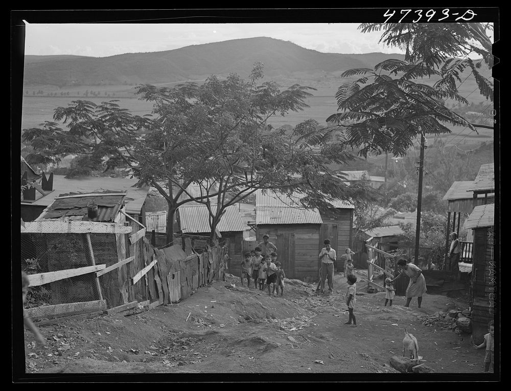 Yauco, Puerto Rico. In the slum area of the coffee town. Sourced from the Library of Congress.