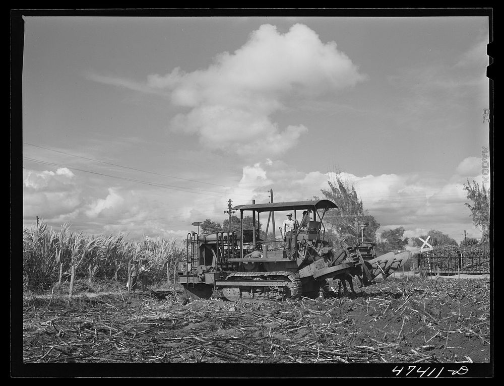 [Untitled photo, possibly related to: Guanica, Puerto Rico (vicinity). A "gyrotiller" plowing a sugar cane field]. Sourced…