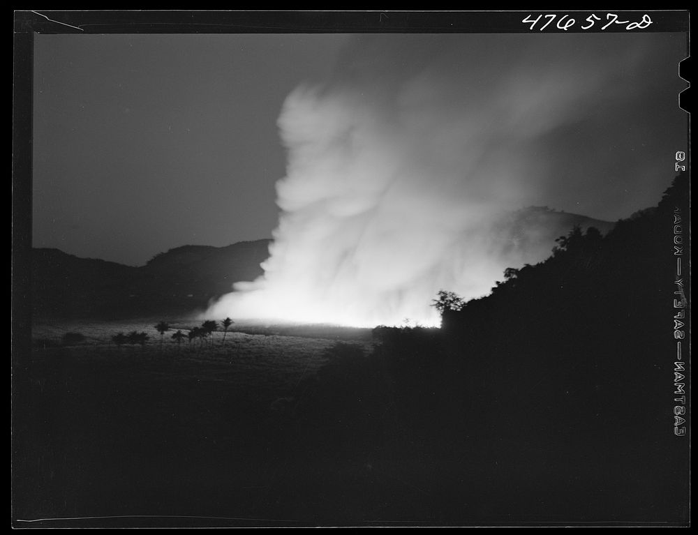 [Untitled photo, possibly related to: Guanica, Puerto Rico (vicinity). Burning a sugar cane field. This is a process that…