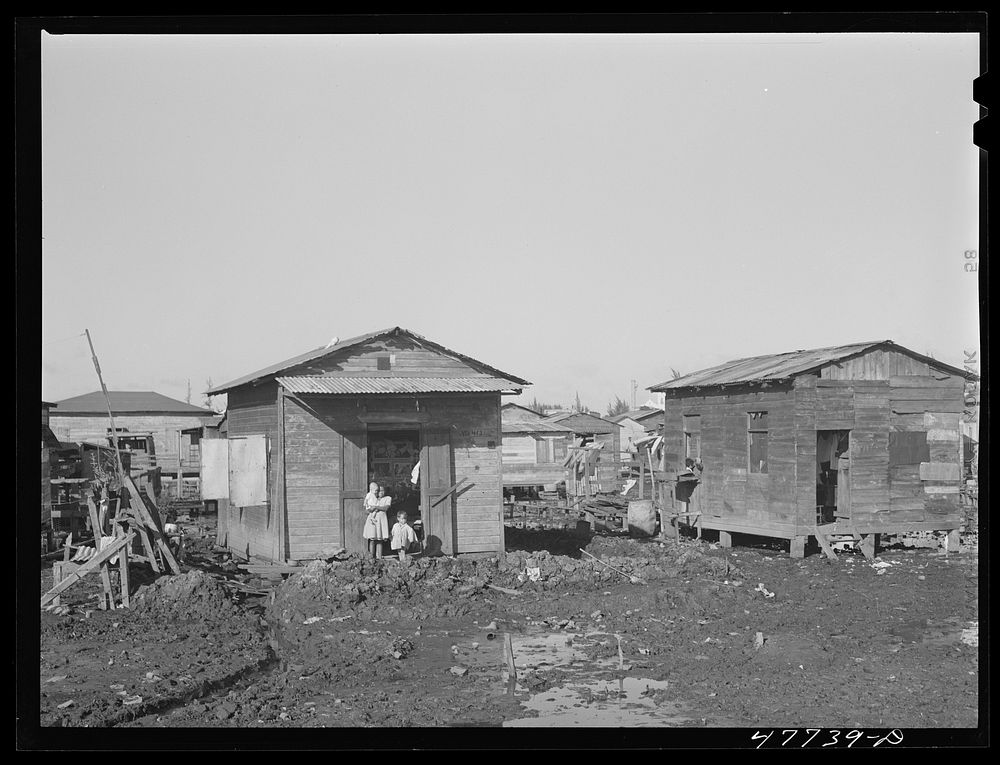 [Untitled photo, possibly related to: Houses in the slum area known as "El Fangitto" (The Mud) in San Juan, Puerto Rico].…