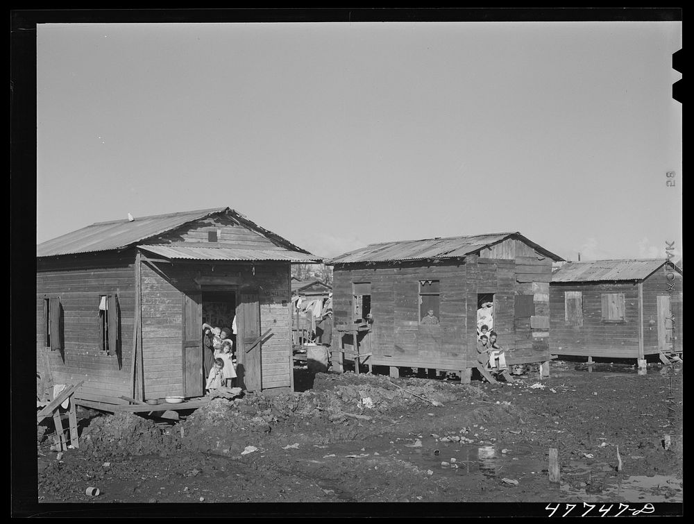 San Juan, Puerto Rico. In the huge slum area known as "El Fangitto" ("the mud"). Sourced from the Library of Congress.