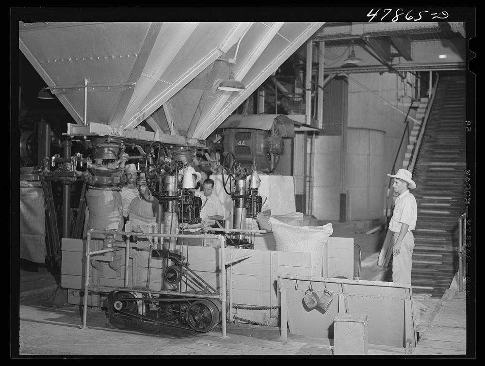 Ensenada, Puerto Rico. Weighing and sewing bags of sugar at the South Puerto Rico Sugar Company. Sourced from the Library of…