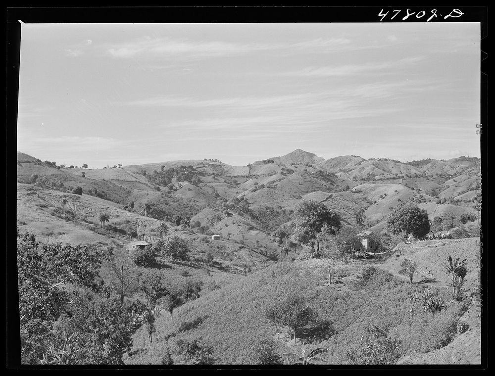 Yauco, Puerto Rico (vicinity). Hill farms. Sourced from the Library of Congress.