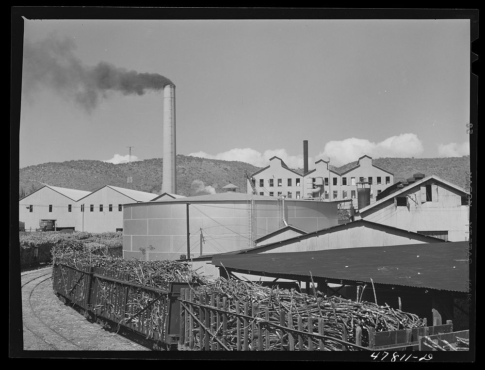 Ensenada, Puerto Rico. Sugar mill or "central" of the South Puerto Rico Sugar Company. Sourced from the Library of Congress.