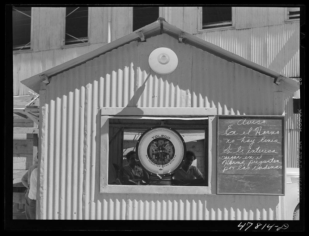 Ensenada, Puerto Rico. Weighing station for trucks at the South Puerto Rico Sugar Company. Sourced from the Library of…
