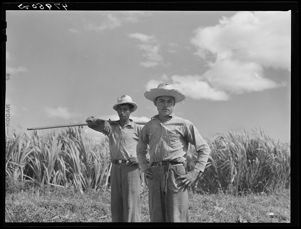 [Untitled photo, possibly related to: Guanica, Puerto Rico (vicinity). Along a country road]. Sourced from the Library of…