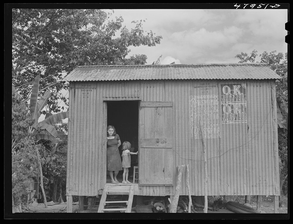 Lajas, Puerto Rico (vicinity). Coffee laborer's company house. Sourced from the Library of Congress.
