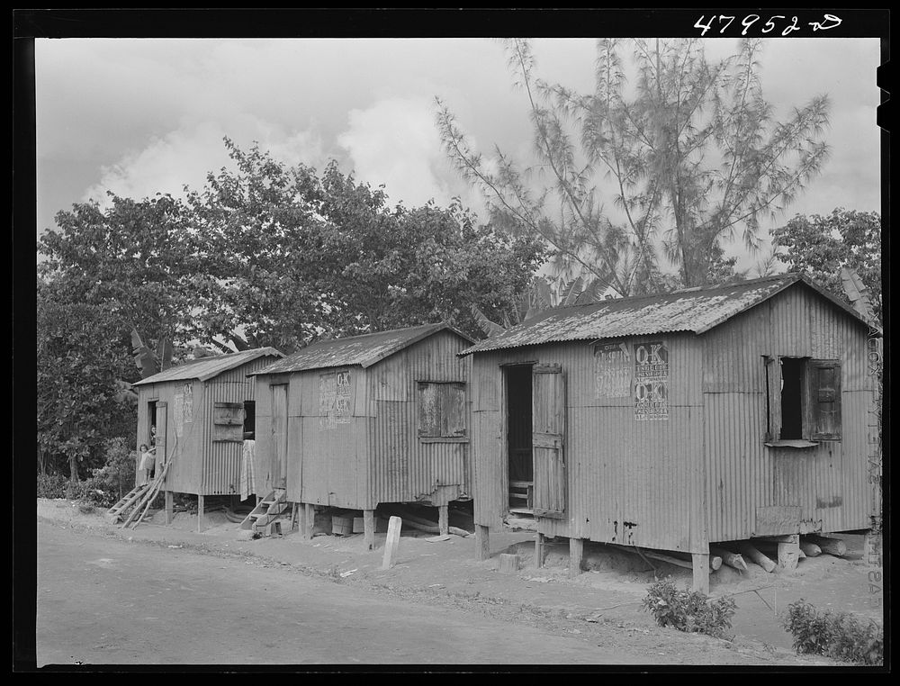 [Untitled photo, possibly related to: Lajas, Puerto Rico (vicinity). Coffee laborer's company house]. Sourced from the…