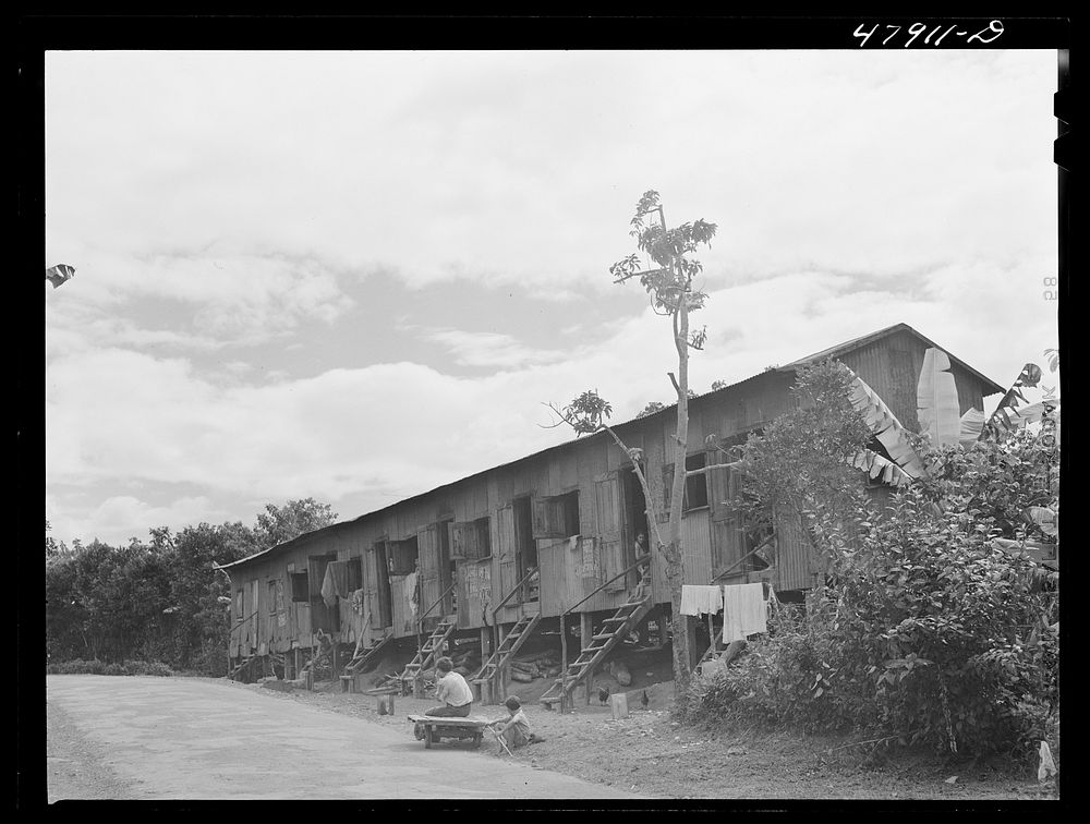 Lajas, Puerto Rico (vicinity). Coffee laborers' company houses. Sourced from the Library of Congress.