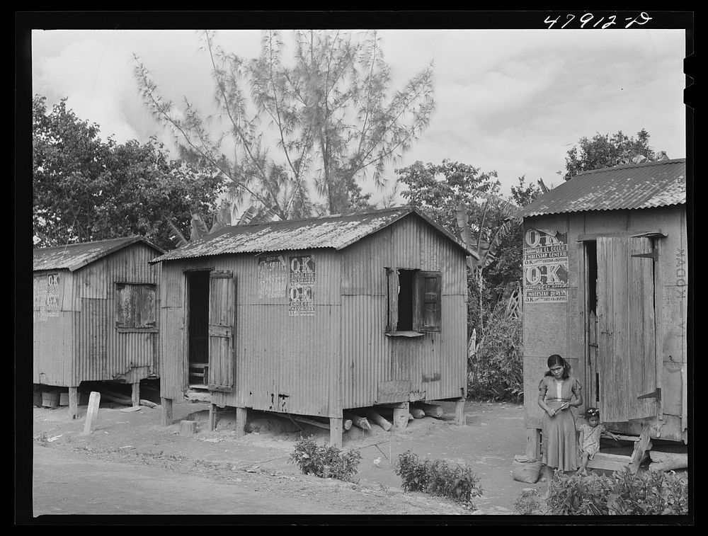 Lajas, Puerto Rico (vicinity). Coffee laborers' company houses. Sourced from the Library of Congress.