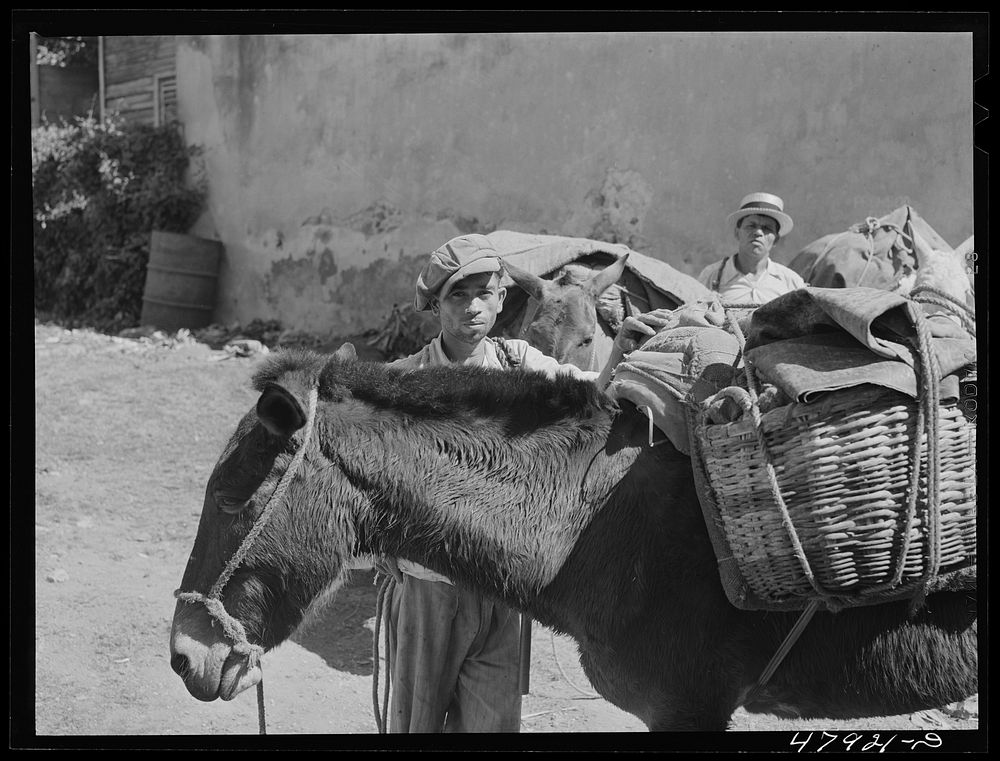 [Untitled photo, possibly related to: Yauco, Puerto Rico (vicinity). Farmers from the hills with provisions bought in town…