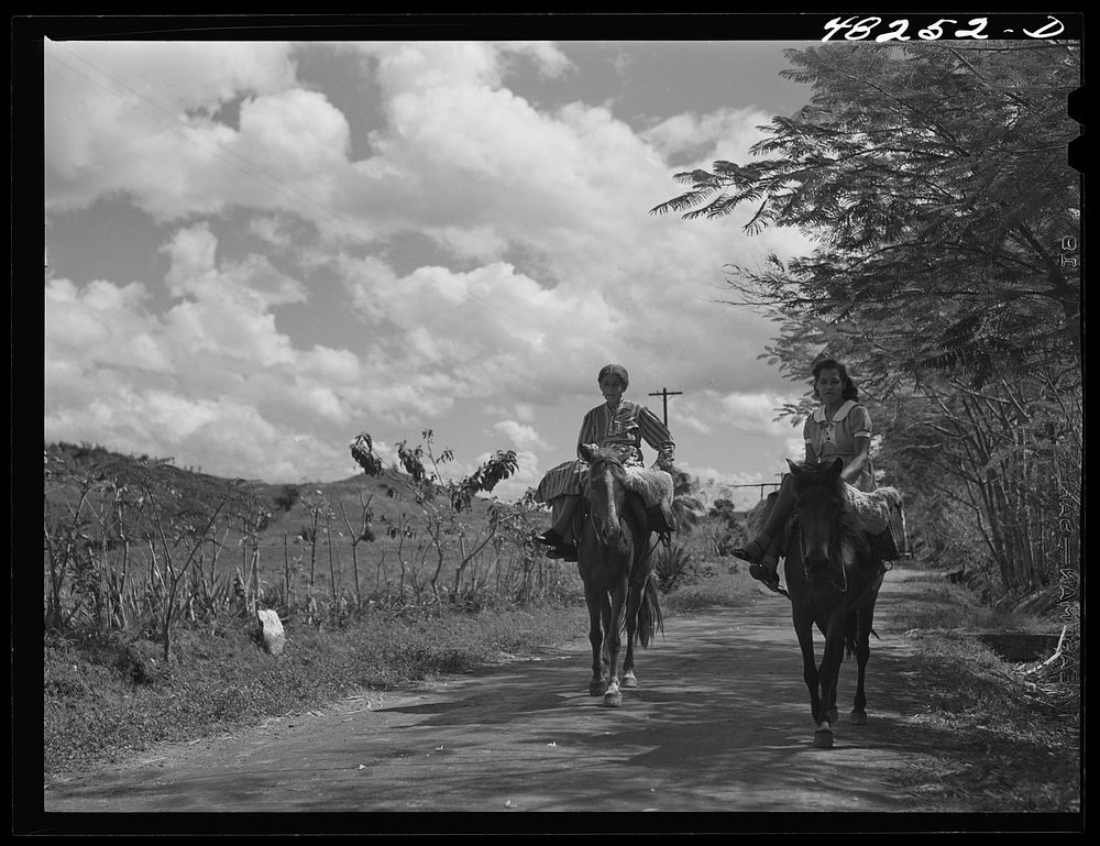 Manati (vicinity), Puerto Rico. On a road. Sourced from the Library of Congress.