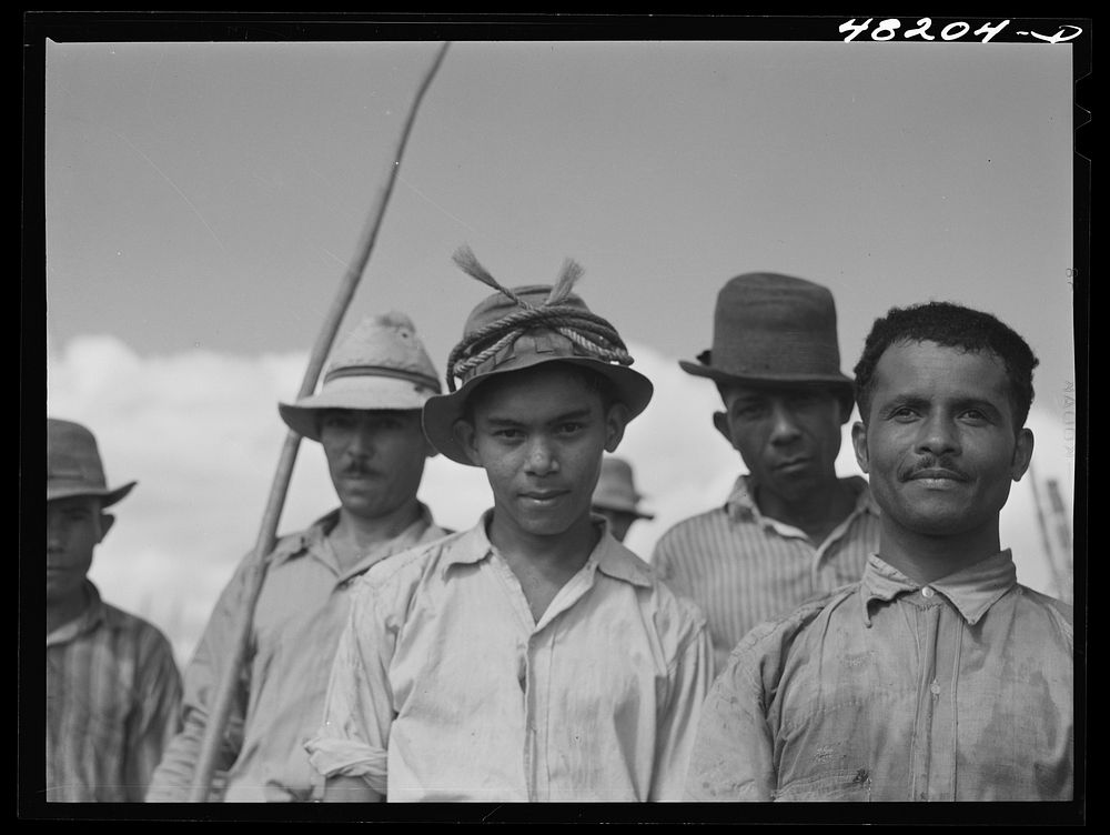 [Untitled photo, possibly related to: Arecibo, Puerto Rico (vicinity). Sugar cane workers on a farm]. Sourced from the…