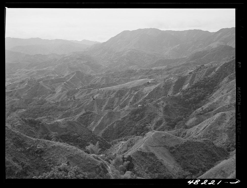[Untitled photo, possibly related to: Comerio (vicinity), Puerto Rico. Landscape]. Sourced from the Library of Congress.