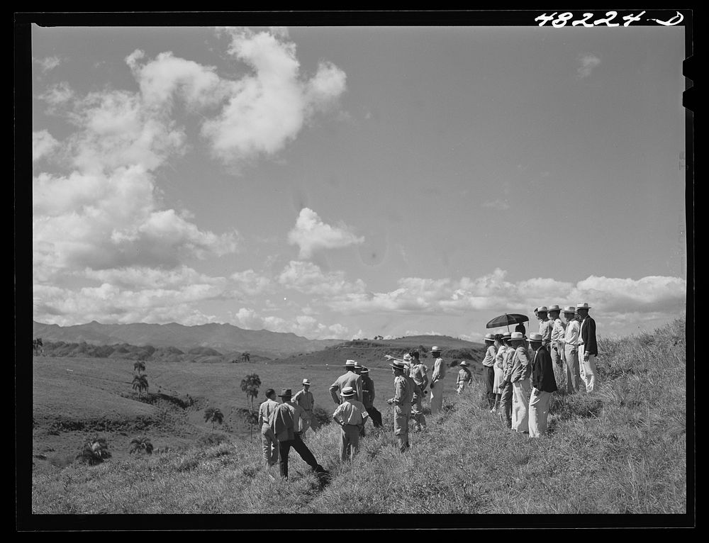Manati (vicinity), Puerto Rico. Group of farmers watching distribution of land by the FSA (Farm Security Administration)…