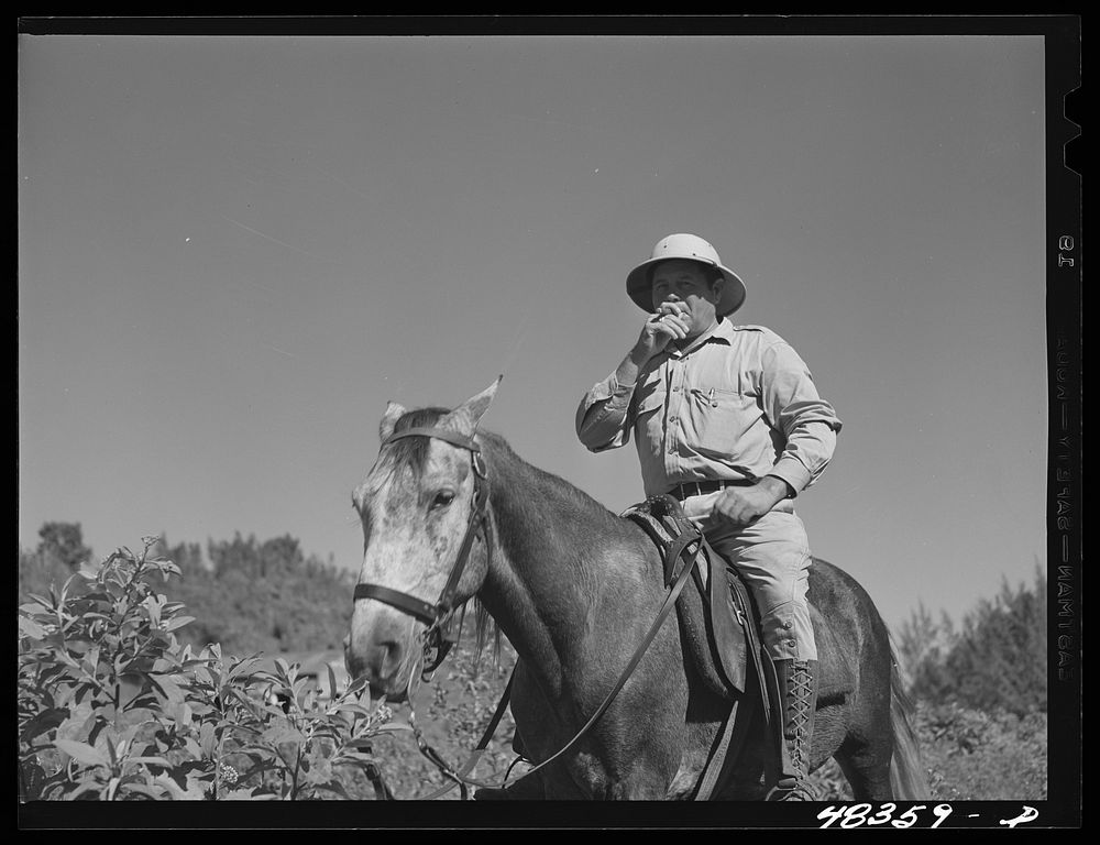 Manati (vicinity), Puerto Rico. A "majordomo" (foreman) on a sugar plantation. Sourced from the Library of Congress.