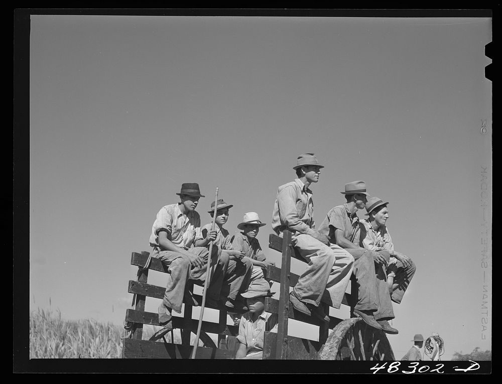[Untitled photo, possibly related to: Rio Piedras (vicinity), Puerto Rico. FSA (Farm Security Administration) borrowers…