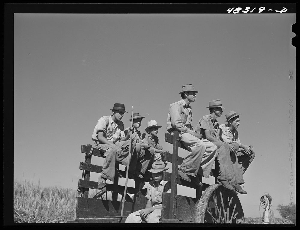Rio Piedras, Puerto Rico. Sugar cane workers resting at the noon hour. Sourced from the Library of Congress.