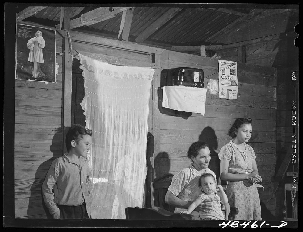 [Untitled photo, possibly related to: Rio Piedras (vicinity), Puerto Rico. FSA (Farm Security Administration) borrower's…